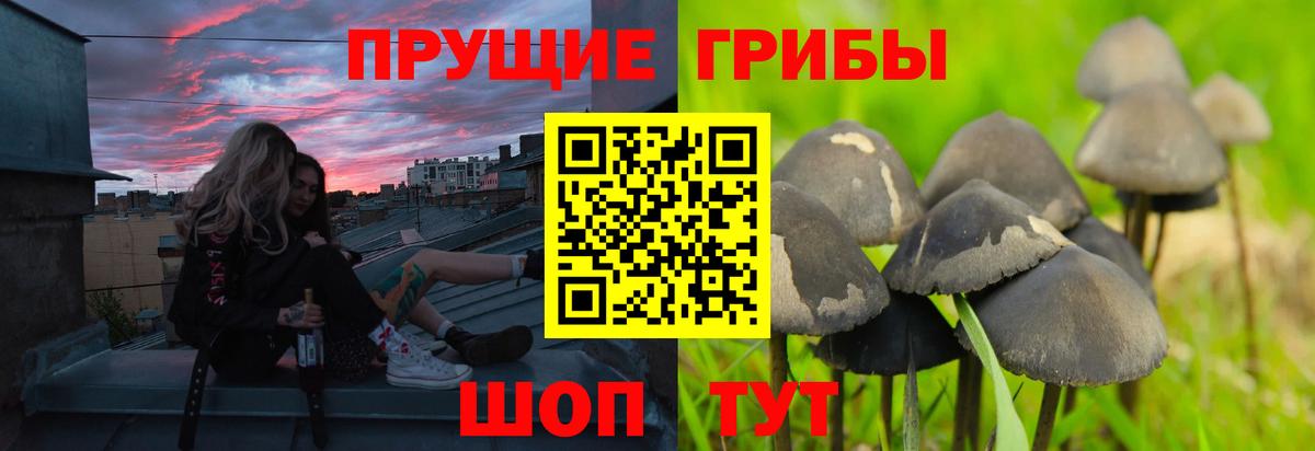 Нефтекумск  Псилоцибиновые грибы прущие грибы  Вход с VPN 